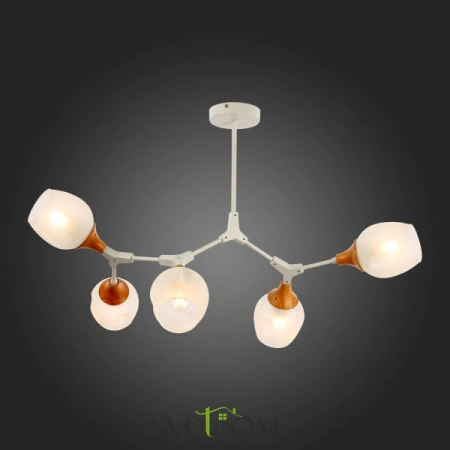 Потолочные светильники EVOLUCE SLE113502-05 от Магазина Svetdom.by