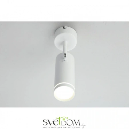 Настенно-потолочные светильники Omnilux OML-102219-12 от Магазина Svetdom.by