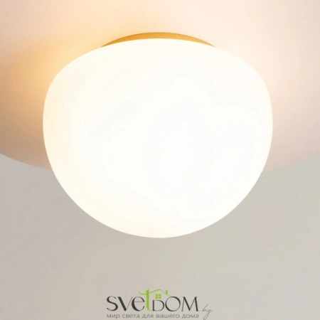 Потолочные светильники Maytoni MOD270CL-01G от Магазина Svetdom.by