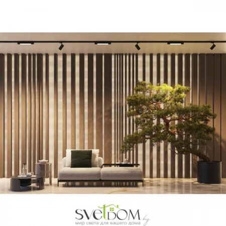 TR196-3-10W2.7K-B Maytoni