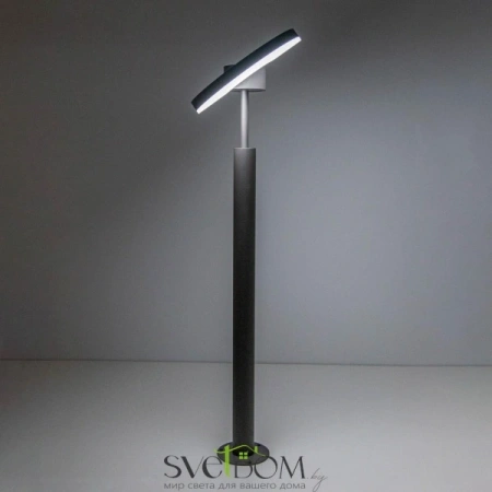 Citilux CLU03B1 LED Уличный парковый светильник поворотный Графит CITILUX