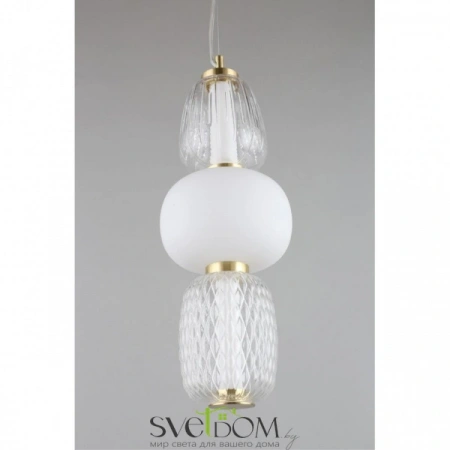 Подвесные светильники Aployt APL.318.06.29 от Магазина Svetdom.by