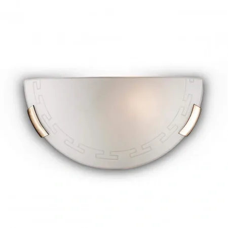 SONEX 061