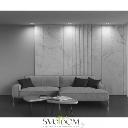 Встраиваемые светильники Maytoni DL024-2-02W от Магазина Svetdom.by