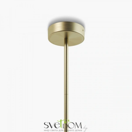 Подвесные светильники Maytoni MOD302PL-06W от Магазина Svetdom.by