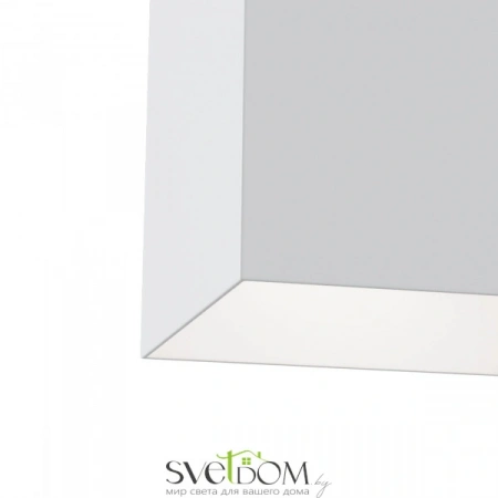 Потолочные светильники Maytoni C015CL-01W от Магазина Svetdom.by