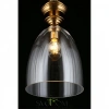 Подвесные светильники Aployt APL.602.16.01 от Магазина Svetdom.by