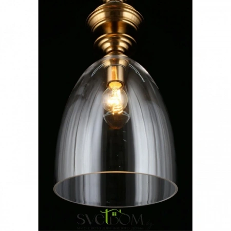 Подвесные светильники Aployt APL.602.16.01 от Магазина Svetdom.by