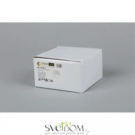 Накладные светильники Omnilux OML-100909-12 от Магазина Svetdom.by