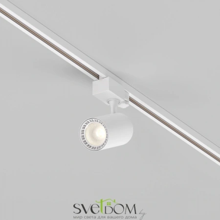 TR029-3-10W3K-M-W Maytoni