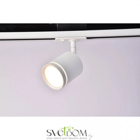 TR085-1-5W4K-W Maytoni