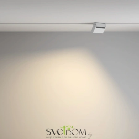 TR077-2-10W3K-W Maytoni