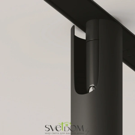 TR141-2-6W3K-M-B Maytoni