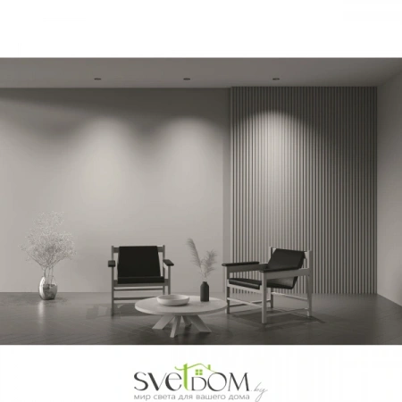 Встраиваемые светильники Maytoni DL057-10W3K-B от Магазина Svetdom.by