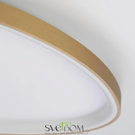 Люстры потолочныеCL756A162 CITILUX | Svetdom.by