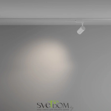 TR003-1-6W4K-M-W Maytoni