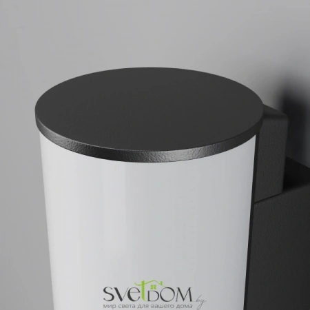 Настенные светильники O434WL-L12GF3K Maytoni | Svetdom.by