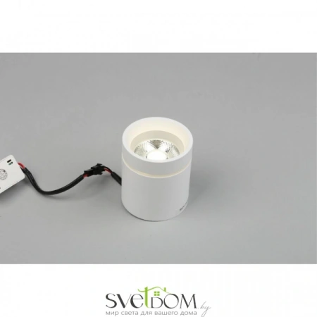 Накладные светильники Aployt APL.0044.09.05 от Магазина Svetdom.by