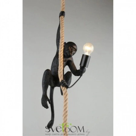 Подвесные светильники Aployt APL.309.16.01 от Магазина Svetdom.by