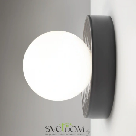 Настенные светильники MOD403WL-01GR Maytoni | Svetdom.by