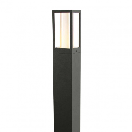 3036-1T Favourite 3036-1T Favourite