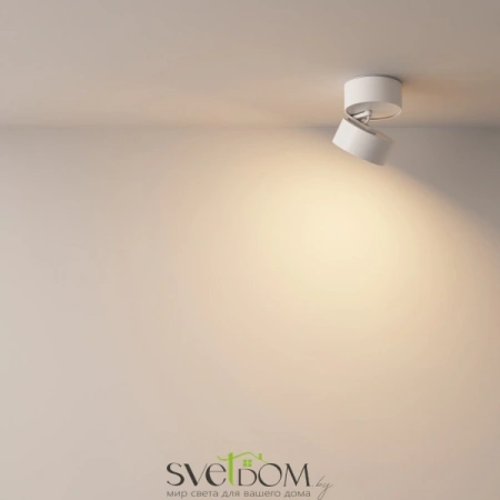 Потолочные светильники Maytoni C024CL-L12W3K от Магазина Svetdom.by