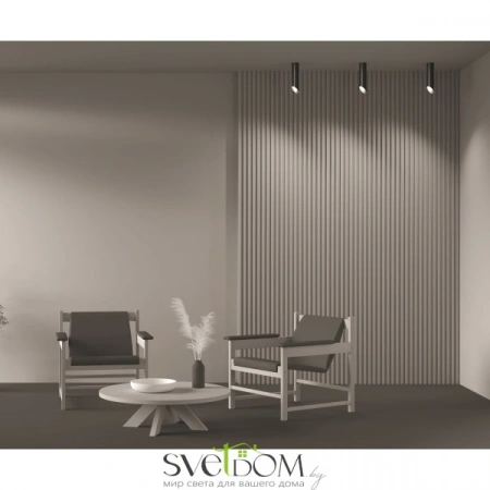 Потолочные светильники Maytoni C044CL-01-25GU10-B от Магазина Svetdom.by