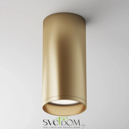 Потолочные светильники Maytoni C010CL-01MG от Магазина Svetdom.by