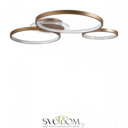 Потолочные светильники Freya FR10014CL-L87G от Магазина Svetdom.by