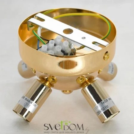Люстра потолочная Lussole Davie LSP-8781 G9 Lussole