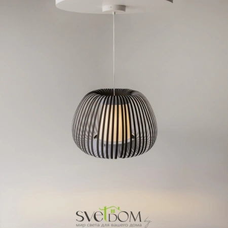 Подвесные светильники Maytoni MOD409PL-01B от Магазина Svetdom.by