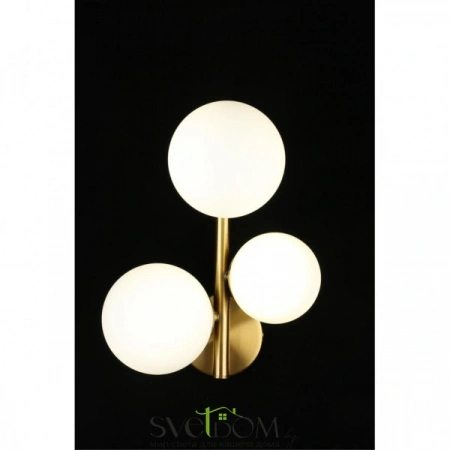 Настенные светильники APL.314.01.03 Aployt | Svetdom.by