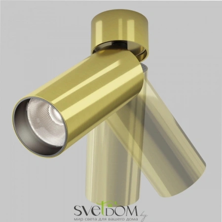 Потолочные светильники Maytoni C055CL-L12W4K-W-BS от Магазина Svetdom.by