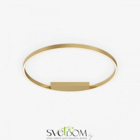 Потолочные светильники Maytoni MOD058CL-L50BSK от Магазина Svetdom.by