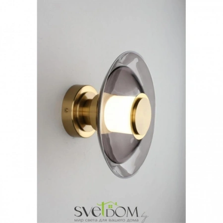 Настенные светильники APL.648.11.10 Aployt | Svetdom.by