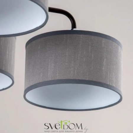 Люстры подвесныеCL428241 CITILUX | Svetdom.by