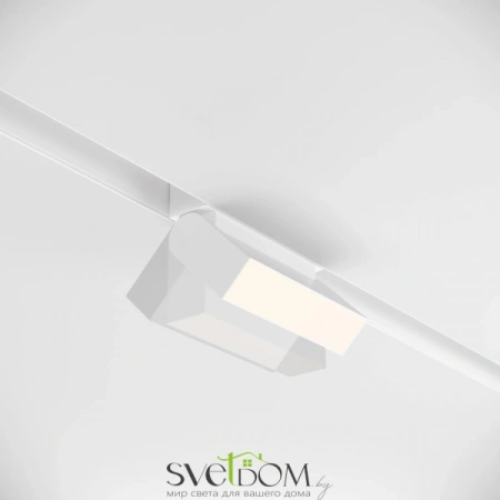 TR013-2-10W4K-W Maytoni