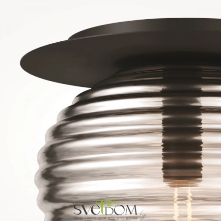 Потолочные светильники Maytoni MOD268CL-01B от Магазина Svetdom.by