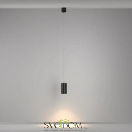 Подвесные светильники Maytoni P100PL-20W3K-B от Магазина Svetdom.by