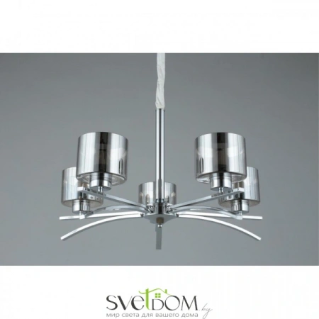Люстры подвесныеOML-55803-05 Omnilux | Svetdom.by
