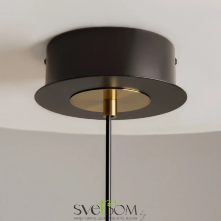 Подвесные светильники Maytoni MOD348PL-L14BBS3K от Магазина Svetdom.by