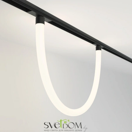 TR101-2-20W4K-B Maytoni