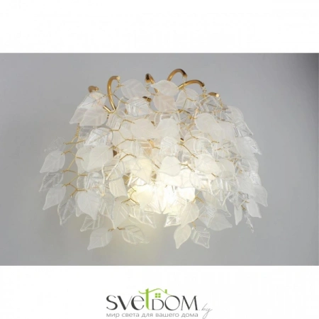 Бра APL.849.01.03 Aployt | Svetdom.by