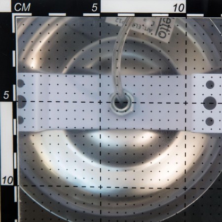 Люстры подвесныеEL338P08 CITILUX | Svetdom.by