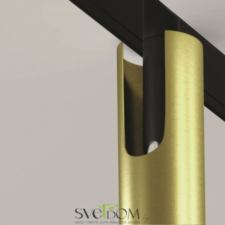 TR141-2-6W3K-M-BS Maytoni