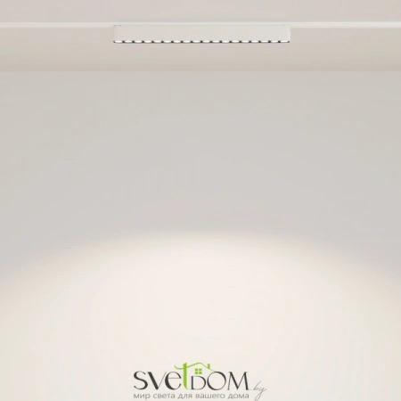 TR082-1-18W4K-M-W Maytoni