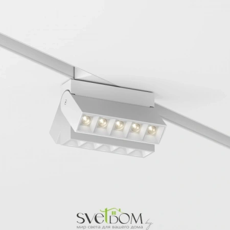 TR077-2-10W3K-W Maytoni