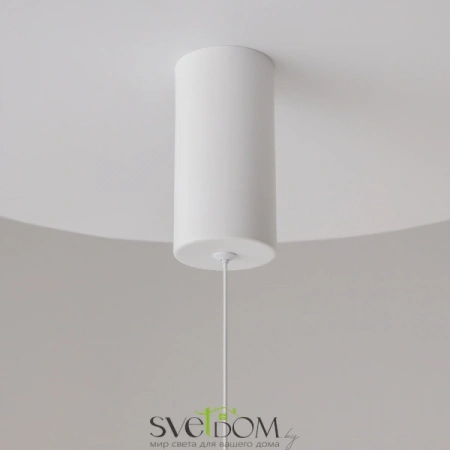 Подвесные светильники Maytoni P022PL-L10W от Магазина Svetdom.by