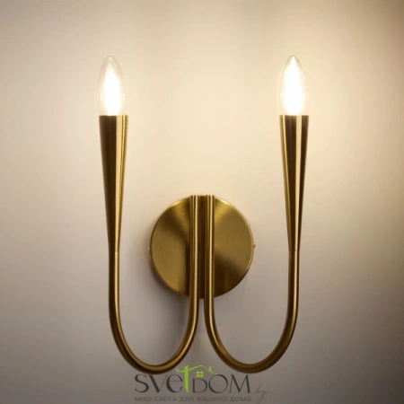 Настенные светильники FR5253WL-02BS Freya | Svetdom.by