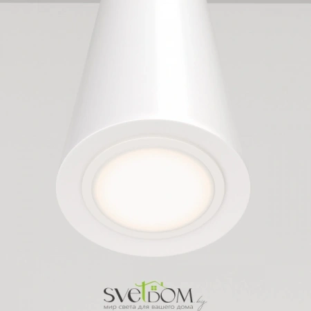 Подвесные светильники Maytoni P318-PL-01-W от Магазина Svetdom.by